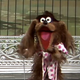 Image for article titled The Muppet Show, “Steve Martin”